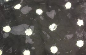 ELICO Tannery Products