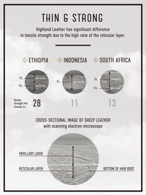 Ethiopian Highland Leather Quality Panel